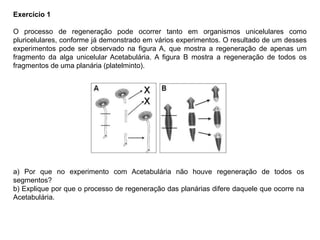 Exercício 1
O processo de regeneração pode ocorrer tanto em organismos unicelulares como
pluricelulares, conforme já demonstrado em vários experimentos. O resultado de um desses
experimentos pode ser observado na figura A, que mostra a regeneração de apenas um
fragmento da alga unicelular Acetabulária. A figura B mostra a regeneração de todos os
fragmentos de uma planária (platelminto).
a) Por que no experimento com Acetabulária não houve regeneração de todos os
segmentos?
b) Explique por que o processo de regeneração das planárias difere daquele que ocorre na
Acetabulária.
 