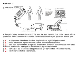 Exercício 13
(UFPE/2013)
A imagem acima representa o ciclo de vida de um parasita que pode causar sérios
problemas de saúde em seres humanos. Observando essa imagem, podemos afirmar que:
(____) as proglótides se formam na carne do porco e são ingeridas pelo homem.
(____) nessa parasitose, o porco assume o papel de hospedeiro definitivo.
(____) pelo ciclo apresentado, a ingestão acidental de alimentos contaminados com fezes
humanas pode levar à formação de cisticercos no organismo humano.
(____) o amarelão e a ascaridíase são parasitoses que apresentam o mesmo ciclo vital.
(____) o ciclo apresentado é o da teníase.
F
F
V
F
V
 