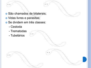  São chamados de bilaterais;
 Vidas livres e parasitas;

 Se dividem em três classes:

  - Cestoda
  - Trematodas
  - Tubelários
 