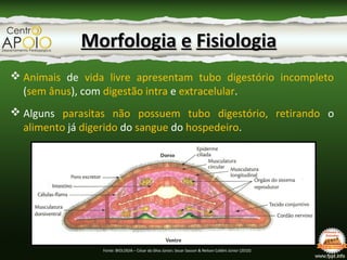 MorfologiaMorfologia ee FisiologiaFisiologia
Fonte: http://www.netxplica.com/manual.virtual/exercicios
/bio10/osmorregulac...