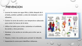 PREVENCION
• Lavarse las manos con agua tibia y jabón después de ir
al baño, cambiar pañales y antes de manipular o servir
alimentos.
• Cocinar la carne de cerdo a una temperatura adecuada
para matar los huevos de la tenia.
• Utilizar los baños para evitar contaminar el ambiente,
los cerdos y otras personas.
• Mantener a los cerdos en corrales para evitar que se
infecten.
• Vacune y trate a los cerdos para prevenir la infección.
• Inspeccione la carne para identificar cisticercos.
 