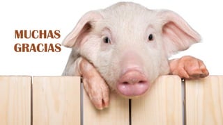 MUCHAS
GRACIAS
 