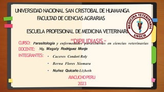 UNIVERSIDADNACIONAL SAN CRISTOBAL DEHUAMANGA
F
ACULTAD DECIENCIASAGRARIAS
• Caceres Condori Roly
• Berna Flores Xiomara
• Nuñez Quicaño Lizbeth
A
Y
ACUCHOPERU
2023
ESCUELA PROFESIONAL DEMEDICINA VETERINARIA
“DIPILIDIASIS“
CURSO:
DOCENTE:
INTEGRANTES:
Parasitología y enfermedades parasitarias en ciencias veterinarias
Mg. Magaly Rodríguez Monje
 