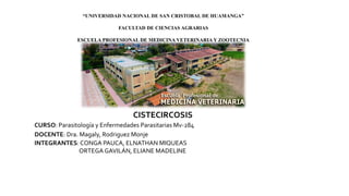 “UNIVERSIDAD NACIONAL DE SAN CRISTOBAL DE HUAMANGA”
FACULTAD DE CIENCIAS AGRARIAS
ESCUELA PROFESIONAL DE MEDICINA VETERINARIA Y ZOOTECNIA
CISTECIRCOSIS
CURSO: Parasitología y Enfermedades Parasitarias Mv-284
DOCENTE: Dra. Magaly, Rodriguez Monje
INTEGRANTES: CONGA PAUCA, ELNATHAN MIQUEAS
ORTEGA GAVILÁN, ELIANE MADELINE
 