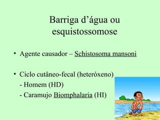 Barriga d’água ou
            esquistossomose

• Agente causador – Schistosoma mansoni

• Ciclo cutâneo-fecal (heteróxeno)
  - Homem (HD)
  - Caramujo Biomphalaria (HI)
 