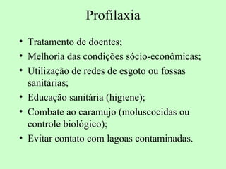Profilaxia
• Tratamento de doentes;
• Melhoria das condições sócio-econômicas;
• Utilização de redes de esgoto ou fossas
  sanitárias;
• Educação sanitária (higiene);
• Combate ao caramujo (moluscocidas ou
  controle biológico);
• Evitar contato com lagoas contaminadas.
 