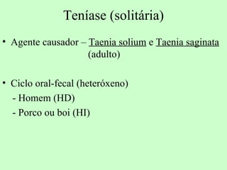 Teníase (solitária)
• Agente causador – Taenia solium e Taenia saginata
                    (adulto)

• Ciclo oral-fecal (heteróxeno)
  - Homem (HD)
  - Porco ou boi (HI)
 