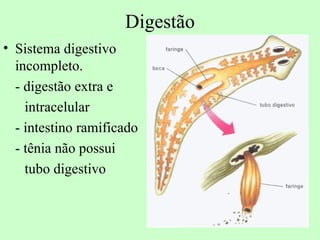Digestão
• Sistema digestivo
  incompleto.
  - digestão extra e
    intracelular
  - intestino ramificado
  - tênia não possui
    tubo digestivo
 