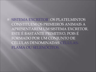 SISTEMA EXCRETOR : OS PLATELMINTOS CONSTITUEM OS PRIMEIROS ANIMAIS A APRESENTAREM UM SISTEMA EXCRETOR. ESTE É BASTANTE PRIMITIVO, POIS É FORMADO POR UM CONJUNTO DE CÉLULAS DENOMINADAS  CÉLULAS-FLAMA OU SELENÓCITOS.  