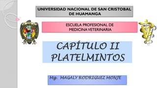 ESCUELA PROFESIONAL DE
MEDICINAVETERINARIA
Mg. MAGALY RODRIGUEZ MONJE
UNIVERSIDAD NACIONAL DE SAN CRISTOBAL
DE HUAMANGA
CAPÍTULO II
PLATELMINTOS
 