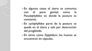 En algunos casos el útero se comunica
con el poro genital, como la
Pseudophyllidea en donde la postura es
constante.
En cyclophyllidea parte de la postura se
queda en el útero y sale por destrucción
del proglótido.
En otros como Dypylidium, los huevos se
encuentran en cápsulas.
 