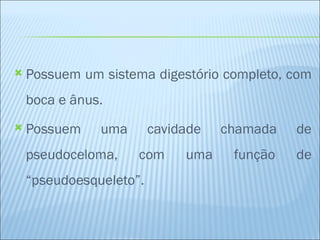    Possuem um sistema digestório completo, com
    boca e ânus.
   Possuem    uma       cavidade   chamada   de
    pseudoceloma,    com      uma    função   de
    “pseudoesqueleto”.
 