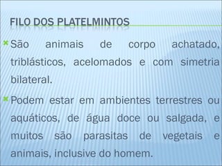  São     animais   de   corpo   achatado,
 triblásticos, acelomados e com simetria
 bilateral.
 Podem   estar em ambientes terrestres ou
 aquáticos, de água doce ou salgada, e
 muitos são parasitas de vegetais e
 animais, inclusive do homem.
 
