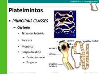 Ciências – 7º ano Ens. Fundamental 3º Bimestre Profa. Rebeca Vale
Platelmintos
Platelmintos e Nematelmintos
• PRINCIPAIS CLASSES
– Cestoda
• Tênia ou Solitária
• Parasita
• Monóica
• Corpo dividido
– Escólex (cabeça)
– Proglotes
 