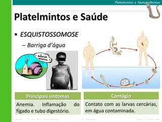Ciências – 7º ano Ens. Fundamental 3º Bimestre Profa. Rebeca Vale
Platelmintos e Saúde
Platelmintos e Nematelmintos
• ESQUISTOSSOMOSE
─ Barriga d’água
Principais sintomas
Anemia. Inflamação do
fígado e tubo digestório.
Contágio
Contato com as larvas cercárias,
em água contaminada.
 