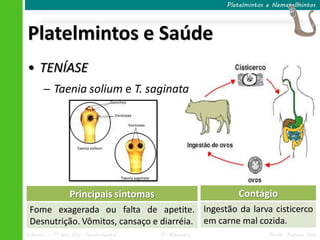 Ciências – 7º ano Ens. Fundamental 3º Bimestre Profa. Rebeca Vale
Platelmintos e Saúde
Platelmintos e Nematelmintos
• TENÍASE
─ Taenia solium e T. saginata
Principais sintomas
Fome exagerada ou falta de apetite.
Desnutrição. Vômitos, cansaço e diarréia.
Contágio
Ingestão da larva cisticerco
em carne mal cozida.
 