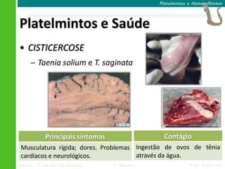 Ciências – 7º ano Ens. Fundamental 3º Bimestre Profa. Rebeca Vale
Platelmintos e Saúde
Platelmintos e Nematelmintos
• CISTICERCOSE
─ Taenia solium e T. saginata
Principais sintomas
Musculatura rígida; dores. Problemas
cardíacos e neurológicos.
Contágio
Ingestão de ovos de tênia
através da água.
 