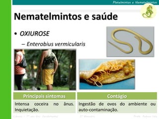 Ciências – 7º ano Ens. Fundamental 3º Bimestre Profa. Rebeca Vale
Nematelmintos e saúde
Platelmintos e Nematelmintos
• OXIUROSE
─ Enterobius vermicularis
Principais sintomas
Intensa coceira no ânus.
Inquietação.
Contágio
Ingestão de ovos do ambiente ou
auto-contaminação.
 