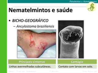 Ciências – 7º ano Ens. Fundamental 3º Bimestre Profa. Rebeca Vale
Nematelmintos e saúde
Platelmintos e Nematelmintos
• BICHO-GEOGRÁFICO
─ Ancylostoma braziliensis
Principais sintomas
Linhas avermelhadas subcutâneas.
Contágio
Contato com larvas em solo.
 