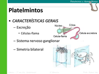 Ciências – 7º ano Ens. Fundamental 3º Bimestre Profa. Rebeca Vale
Platelmintos
Platelmintos e Nematelmintos
• CARACTERÍSTICAS GERAIS
─ Excreção
• Células-flama
─ Sistema nervoso ganglionar
─ Simetria bilateral
 