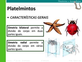 Ciências – 7º ano Ens. Fundamental 3º Bimestre Profa. Rebeca Vale
Platelmintos
Platelmintos e Nematelmintos
• CARACTERÍSTICAS GERAIS
Simetria bilateral permite a
divisão do corpo em duas
partes iguais.
Simetria radial permite a
divisão do corpo em várias
partes iguais.
 
