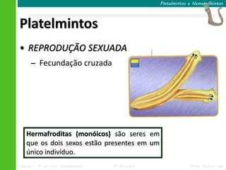 Ciências – 7º ano Ens. Fundamental 3º Bimestre Profa. Rebeca Vale
Platelmintos
Platelmintos e Nematelmintos
• REPRODUÇÃO SEXUADA
– Fecundação cruzada
Hermafroditas (monóicos) são seres em
que os dois sexos estão presentes em um
único indivíduo.
 