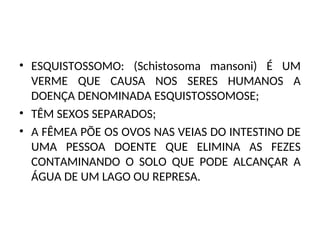 • ESQUISTOSSOMO: (Schistosoma mansoni) É UM
VERME QUE CAUSA NOS SERES HUMANOS A
DOENÇA DENOMINADA ESQUISTOSSOMOSE;
• TÊM SEXOS SEPARADOS;
• A FÊMEA PÕE OS OVOS NAS VEIAS DO INTESTINO DE
UMA PESSOA DOENTE QUE ELIMINA AS FEZES
CONTAMINANDO O SOLO QUE PODE ALCANÇAR A
ÁGUA DE UM LAGO OU REPRESA.
 