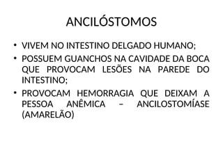 ANCILÓSTOMOS
• VIVEM NO INTESTINO DELGADO HUMANO;
• POSSUEM GUANCHOS NA CAVIDADE DA BOCA
QUE PROVOCAM LESÕES NA PAREDE DO
INTESTINO;
• PROVOCAM HEMORRAGIA QUE DEIXAM A
PESSOA ANÊMICA – ANCILOSTOMÍASE
(AMARELÃO)
 