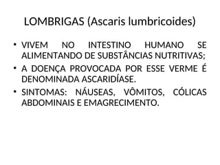 LOMBRIGAS (Ascaris lumbricoides)
• VIVEM NO INTESTINO HUMANO SE
ALIMENTANDO DE SUBSTÂNCIAS NUTRITIVAS;
• A DOENÇA PROVOCADA POR ESSE VERME É
DENOMINADA ASCARIDÍASE.
• SINTOMAS: NÁUSEAS, VÔMITOS, CÓLICAS
ABDOMINAIS E EMAGRECIMENTO.
 