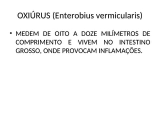 OXIÚRUS (Enterobius vermicularis)
• MEDEM DE OITO A DOZE MILÍMETROS DE
COMPRIMENTO E VIVEM NO INTESTINO
GROSSO, ONDE PROVOCAM INFLAMAÇÕES.
 