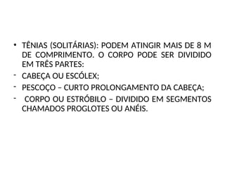• TÊNIAS (SOLITÁRIAS): PODEM ATINGIR MAIS DE 8 M
DE COMPRIMENTO. O CORPO PODE SER DIVIDIDO
EM TRÊS PARTES:
- CABEÇA OU ESCÓLEX;
- PESCOÇO – CURTO PROLONGAMENTO DA CABEÇA;
- CORPO OU ESTRÓBILO – DIVIDIDO EM SEGMENTOS
CHAMADOS PROGLOTES OU ANÉIS.
 