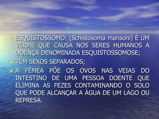 • ESQUISTOSSOMO: (Schistosoma mansoni) É UM
    VERME QUE CAUSA NOS SERES HUMANOS A
    DOENÇA DENOMINADA ESQUISTOSSOMOSE;
•   TÊM SEXOS SEPARADOS;
•   A FÊMEA PÕE OS OVOS NAS VEIAS DO
    INTESTINO DE UMA PESSOA DOENTE QUE
    ELIMINA AS FEZES CONTAMINANDO O SOLO
    QUE PODE ALCANÇAR A ÁGUA DE UM LAGO OU
    REPRESA.
 
