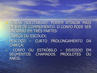 • TÊNIAS (SOLITÁRIAS): PODEM ATINGIR MAIS
    DE 8 M DE COMPRIMENTO. O CORPO PODE SER
    DIVIDIDO EM TRÊS PARTES:
-   CABEÇA OU ESCÓLEX;
-   PESCOÇO – CURTO PROLONGAMENTO DA
    CABEÇA;
-     CORPO OU ESTRÓBILO – DIVIDIDO EM
    SEGMENTOS CHAMADOS PROGLOTES OU
    ANÉIS.
 