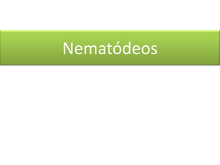 Nematódeos

 