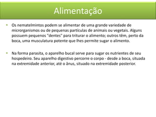 Alimentação
 Os nematelmintos podem se alimentar de uma grande variedade de
microrganismos ou de pequenas partículas de animais ou vegetais. Alguns
possuem pequenos "dentes" para triturar o alimento; outros têm, perto da
boca, uma musculatura potente que lhes permite sugar o alimento.
 Na forma parasita, o aparelho bucal serve para sugar os nutrientes de seu
hospedeiro. Seu aparelho digestivo percorre o corpo - desde a boca, situada
na extremidade anterior, até o ânus, situado na extremidade posterior.

 