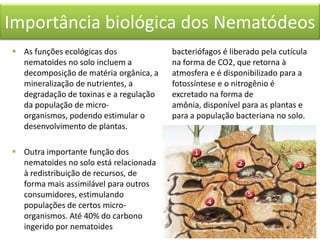 Importância biológica dos Nematódeos
 As funções ecológicas dos
nematoides no solo incluem a
decomposição de matéria orgânica, a
mineralização de nutrientes, a
degradação de toxinas e a regulação
da população de microorganismos, podendo estimular o
desenvolvimento de plantas.
 Outra importante função dos
nematoides no solo está relacionada
à redistribuição de recursos, de
forma mais assimilável para outros
consumidores, estimulando
populações de certos microorganismos. Até 40% do carbono
ingerido por nematoides

bacteriófagos é liberado pela cutícula
na forma de CO2, que retorna à
atmosfera e é disponibilizado para a
fotossíntese e o nitrogênio é
excretado na forma de
amônia, disponível para as plantas e
para a população bacteriana no solo.

 