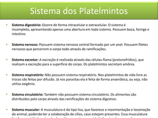 Sistema dos Platelmintos


Sistema digestório: Ocorre de forma intracelular e extracelular. O sistema é
incompleto, apresentando apenas uma abertura em todo sistema. Possuem boca, faringe e
intestino.



Sistema nervoso: Possuem sistema nervoso central formado por um anel. Possuem filetes
nervosos que percorrem o corpo todo através de ramificações.



Sistema excretor: A excreção é realizada através das células-flama (protonefrídios), que
realizam a excreção para a superfície do corpo. Os platelmintos secretam amônia.



Sistema respiratório: Não possuem sistema respiratório. Nos platelmintos de vida livre as
trocas são feitas por difusão. Já nos parasitas ela é feita de forma anaeróbica, ou seja, não
utiliza oxigênio.



Sistema circulatório: Também não possuem sistema circulatório. Os alimentos são
distribuídos pelo corpo através das ramificações do sistema digestivo.



Sistema muscular: A musculatura é do tipo lisa, que favorece a movimentação e locomoção
do animal, podendo ter a colaboração de cílios, caso estejam presentes. Essa musculatura

 
