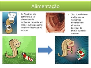 Alimentação


As Planárias são
carnívoras e se
alimentam de
moluscos, camarão, ver
mes e outros pequenos
invertebrados vivos ou
mortos.

 Obs: Já as tênias e
a schistosoma
mansoni se
alimentam de
alimentos
digeridos do
animal ou do ser
humano.

 