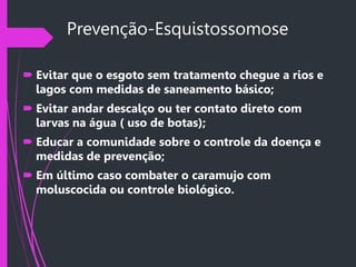Prevenção-Esquistossomose
 Evitar que o esgoto sem tratamento chegue a rios e
lagos com medidas de saneamento básico;
 Evitar andar descalço ou ter contato direto com
larvas na água ( uso de botas);
 Educar a comunidade sobre o controle da doença e
medidas de prevenção;
 Em último caso combater o caramujo com
moluscocida ou controle biológico.
 