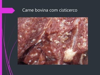 Carne bovina com cisticerco
 