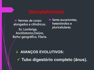 Nematelmintos
 Vermes de corpo
alongados e cilíndricos.
Ex: Lombriga,
Ancilóstomo,Oxiúro,
Bicho-geográfico, Filaria.
 Seres eucariontes,
heterótrofos e
pluricelulares.
 Tubo digestório completo (ânus).
 AVANÇOS EVOLUTIVOS:
 