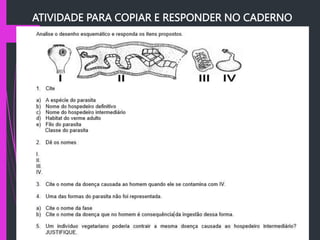 ATIVIDADE PARA COPIAR E RESPONDER NO CADERNO
 