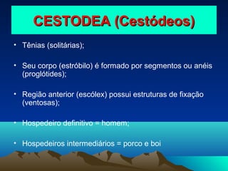 CESTODEA (Cestódeos)
• Tênias (solitárias);
• Seu corpo (estróbilo) é formado por segmentos ou anéis
(proglótides);
• Região anterior (escólex) possui estruturas de fixação
(ventosas);
• Hospedeiro definitivo = homem;
• Hospedeiros intermediários = porco e boi

 