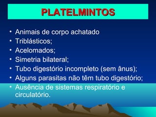 PLATELMINTOS
•
•
•
•
•
•
•

Animais de corpo achatado
Triblásticos;
Acelomados;
Simetria bilateral;
Tubo digestório incompleto (sem ânus);
Alguns parasitas não têm tubo digestório;
Ausência de sistemas respiratório e
circulatório.

 
