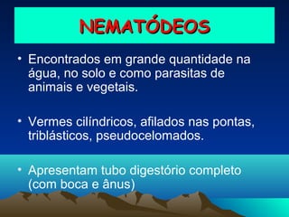 NEMATÓDEOS
• Encontrados em grande quantidade na
água, no solo e como parasitas de
animais e vegetais.
• Vermes cilíndricos, afilados nas pontas,
triblásticos, pseudocelomados.
• Apresentam tubo digestório completo
(com boca e ânus)

 