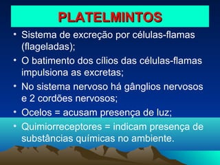 PLATELMINTOS
• Sistema de excreção por células-flamas
(flageladas);
• O batimento dos cílios das células-flamas
impulsiona as excretas;
• No sistema nervoso há gânglios nervosos
e 2 cordões nervosos;
• Ocelos = acusam presença de luz;
• Quimiorreceptores = indicam presença de
substâncias químicas no ambiente.

 