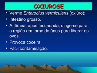 OXIUROSE
• Verme Enterobius vermicularis (oxiúro);
• Intestino grosso.
• A fêmea, após fecundada, dirige-se para
a região em torno do ânus para liberar os
ovos.
• Provoca coceira;
• Fácil contaminação.

 
