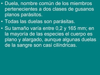 • Duela, nombre común de los miembros
pertenecientes a dos clases de gusanos
planos parásitos.
• Todas las duelas son parásitas.
• Su tamaño varía entre 0,2 y 165 mm; en
la mayoría de las especies el cuerpo es
plano y alargado, aunque algunas duelas
de la sangre son casi cilíndricas.
 