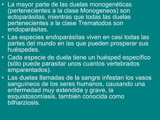 • La mayor parte de las duelas monogenéticas
(pertenecientes a la clase Monogeneos) son
ectoparásitas, mientras que todas las duelas
pertenecientes a la clase Trematodos son
endoparásitas.
• Las especies endoparásitas viven en casi todas las
partes del mundo en las que pueden prosperar sus
huéspedes.
• Cada especie de duela tiene un huésped específico
(sólo puede parasitar unos cuantos vertebrados
emparentados).
• Las duelas llamadas de la sangre infestan los vasos
sanguíneos de los seres humanos, causando una
enfermedad muy extendida y grave, la
esquistosomiasis, también conocida como
bilharziosis.
 
