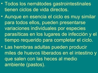 • Todos los nemátodes gastrointestinales
tienen ciclos de vida directos.
• Aunque en esencia el ciclo es muy similar
para todos ellos, pueden presentarse
variaciones individuales por especies
parasíticas en los lugares de infección y el
tiempo requerido para completar el ciclo.
• Las hembras adultas pueden producir
miles de huevos liberados en el intestino y
que salen con las heces al medio
ambiente (pastos).
 